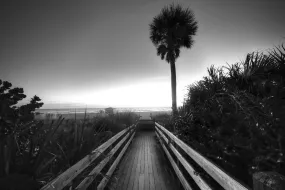 Beach Walk