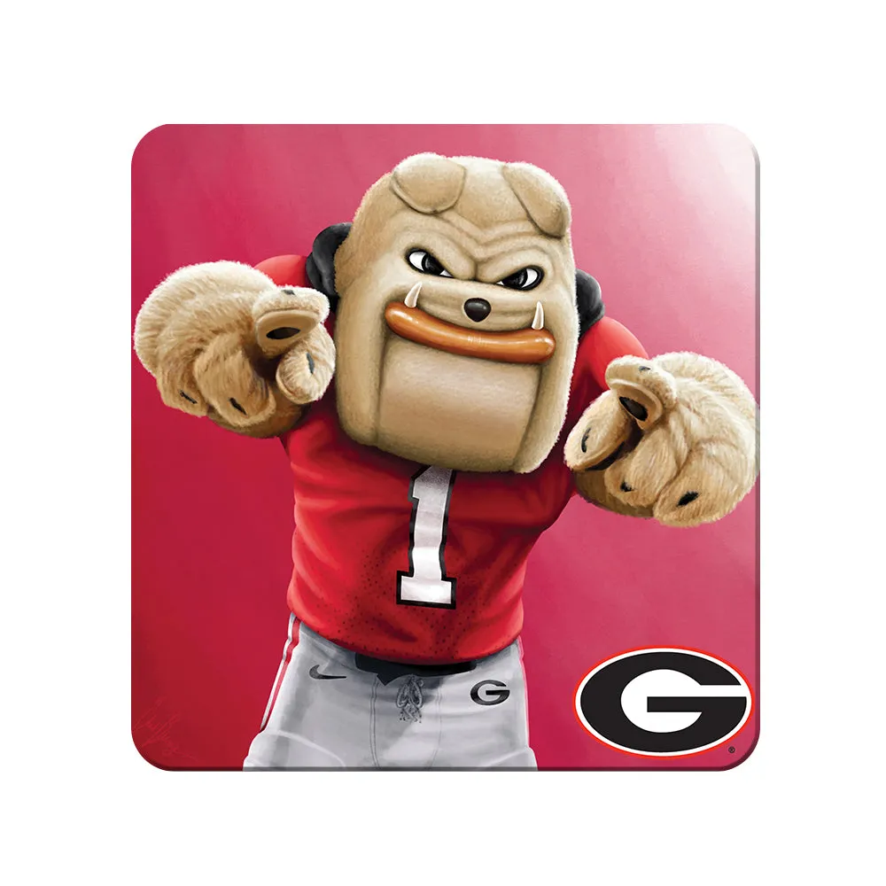 Georgia Bulldogs - Hairy Dawg