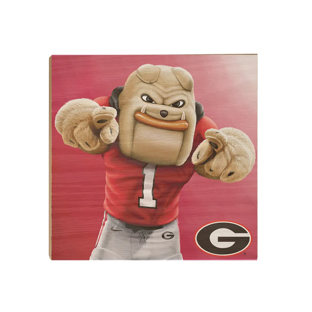 Georgia Bulldogs - Hairy Dawg