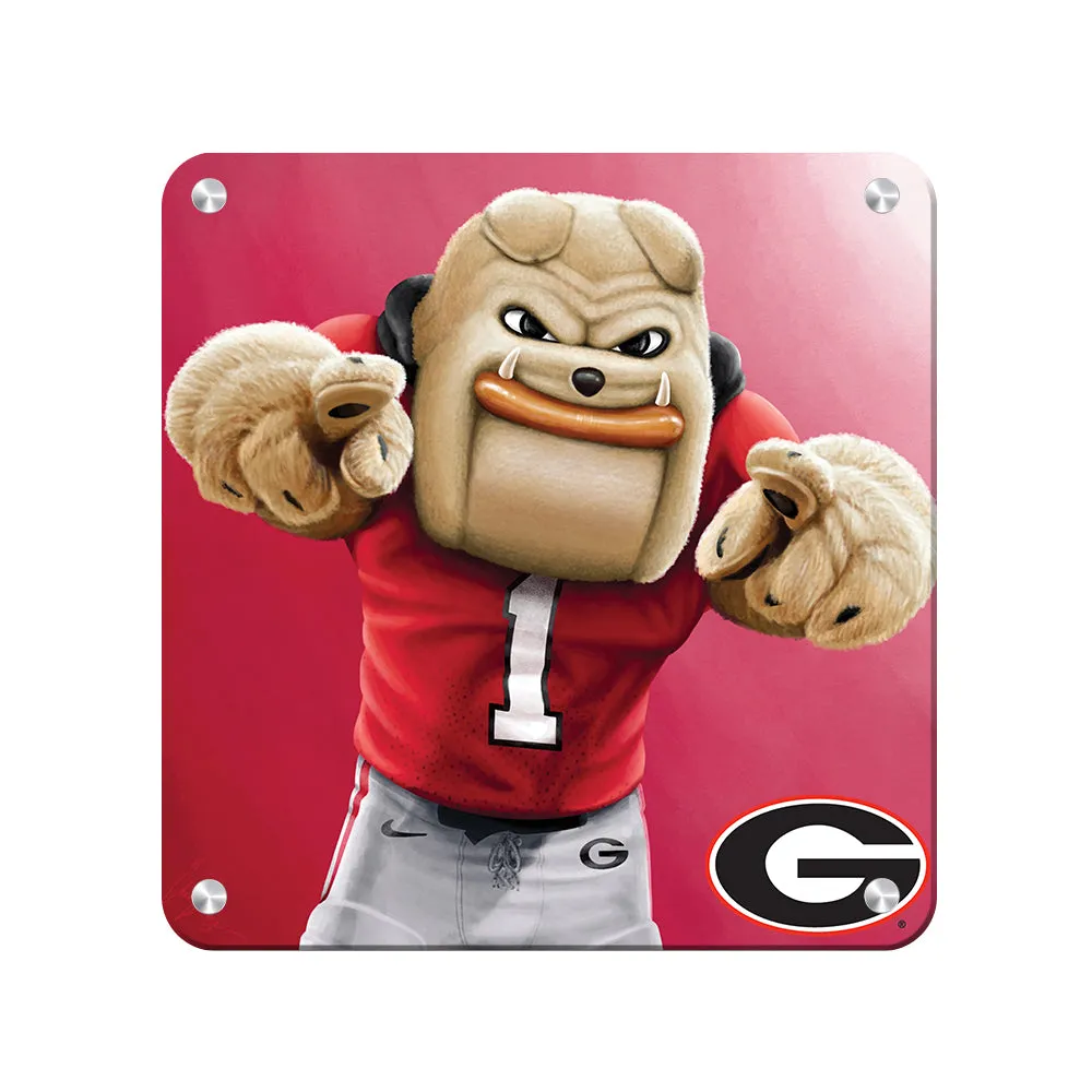 Georgia Bulldogs - Hairy Dawg