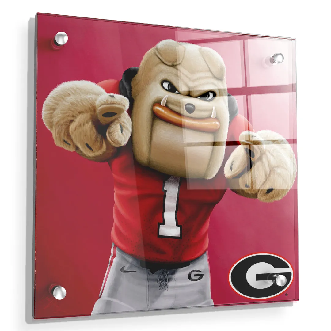 Georgia Bulldogs - Hairy Dawg