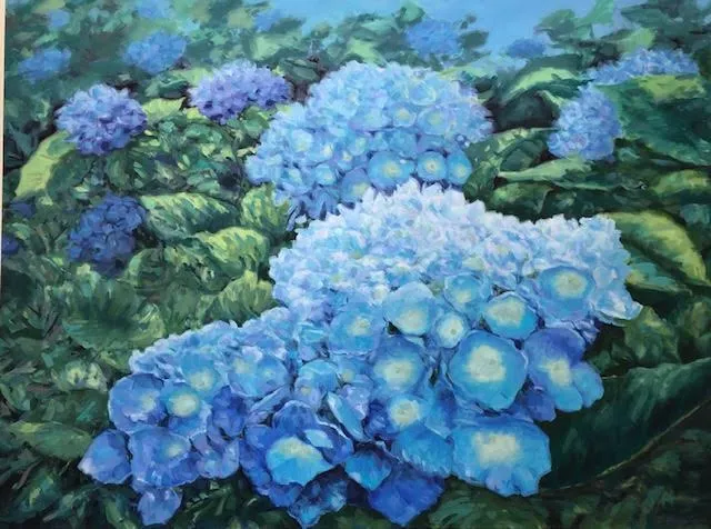 Hydrangeas - Cheryl Davis