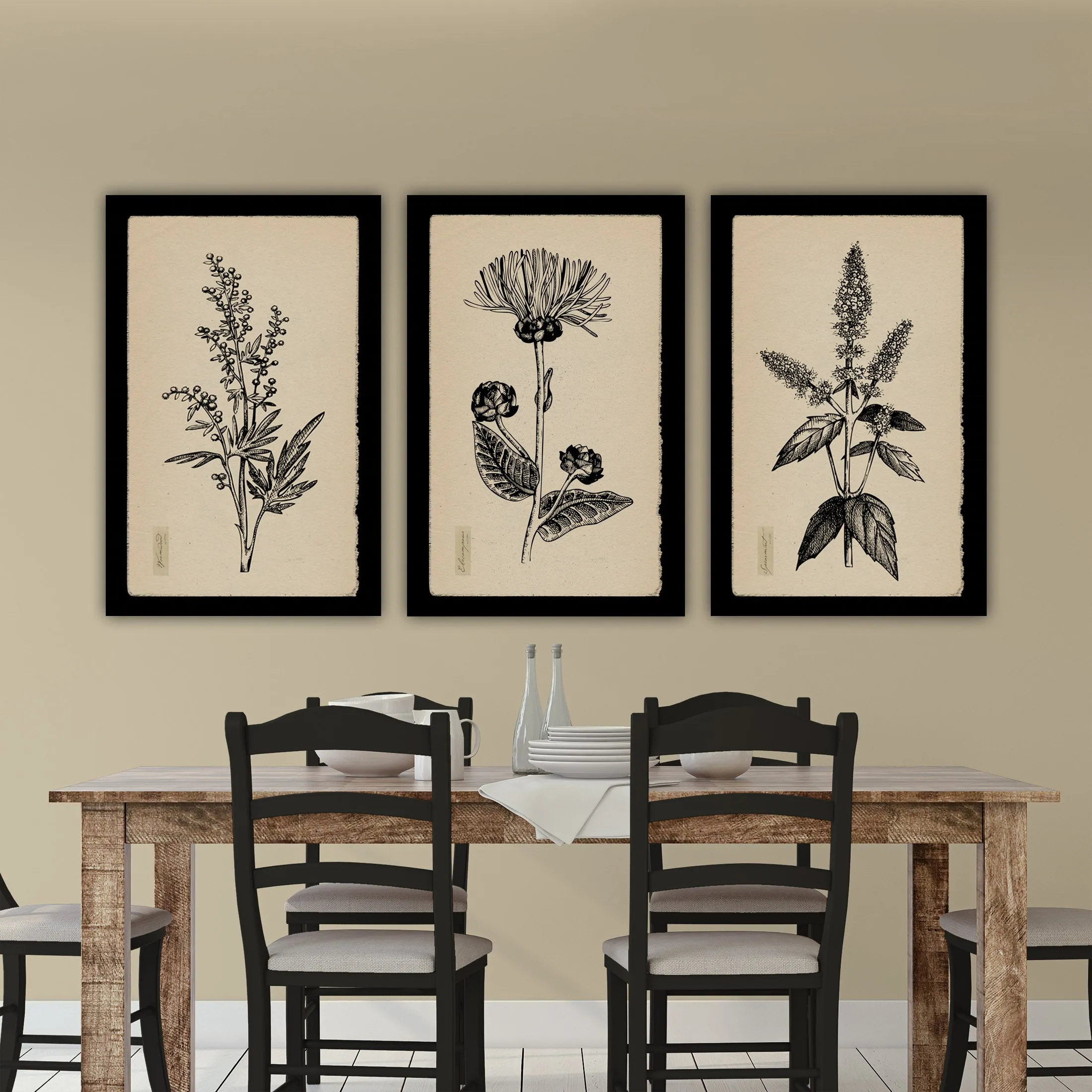 Vintage Botanical Herbs on Creme Background